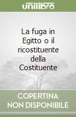 La fuga in Egitto o il ricostituente della Costituente libro