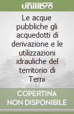 Le acque pubbliche gli acquedotti di derivazione e le utilizzazioni idrauliche del territorio di Terni libro