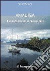 Amaltea. A vela da Trieste al grande Sud libro