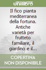 Il fico pianta mediterranea della fortuna. Antiche varietà per frutteto familiare, il giardino e il terrazzo