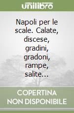 Napoli per le scale. Calate, discese, gradini, gradoni, rampe, salite... libro