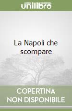 La Napoli che scompare