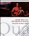 Quadri, libri e carte dell'ospedale di Mantova. Sei secoli di arte e storia libro