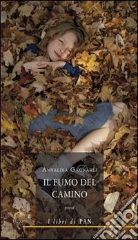 Il fumo del camino libro