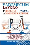 Vademecum lavoro per dipendenti e dirigenti della pubblica amministrazione libro