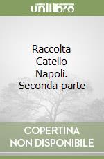 Raccolta Catello Napoli. Seconda parte libro