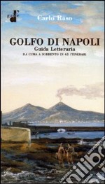 Il golfo di Napoli. Guida letteraria. Da Cuma a Sorrento libro