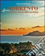 Sorrento... where sirens dare to tread. Ediz. illustrata