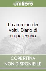 Il cammino dei volti. Diario di un pellegrino libro