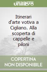 Itinerari d'arte votiva a Cigliano. Alla scoperta di cappelle e piloni libro