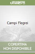 Campi Flegrei libro