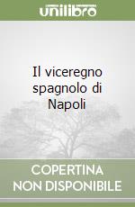 Il viceregno spagnolo di Napoli