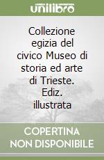 Collezione egizia del civico Museo di storia ed arte di Trieste. Ediz. illustrata libro