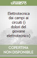 Elettrotecnica dai campi ai circuiti (i dolori del giovane elettrotecnico)