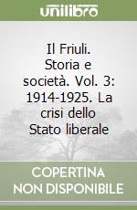 Il Friuli. Storia e società. Vol. 3: 1914-1925. La crisi dello Stato liberale