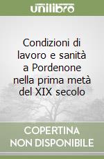 Condizioni di lavoro e sanità a Pordenone nella prima metà del XIX secolo libro