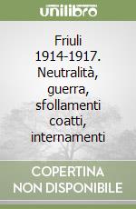 Friuli 1914-1917. Neutralità, guerra, sfollamenti coatti, internamenti libro