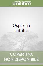 Ospite in soffitta