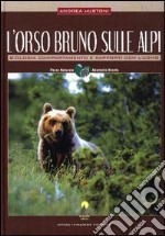 L'orso bruno sulle Alpi