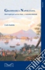 Grammatica napoletana. Dieci regole per scrivere bene... e curiosità dialettali libro