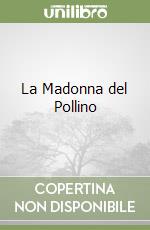 La Madonna del Pollino libro