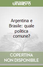 Argentina e Brasile: quale politica comune?