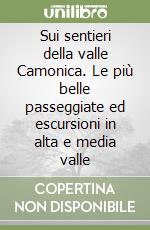 Sui sentieri della valle Camonica. Le più belle passeggiate ed escursioni in alta e media valle libro