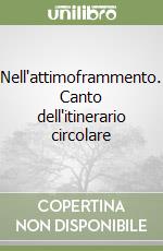 Nell'attimoframmento. Canto dell'itinerario circolare libro