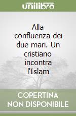 Alla confluenza dei due mari. Un cristiano incontra l'Islam