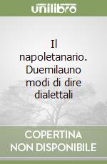 Il napoletanario. Duemilauno modi di dire dialettali libro