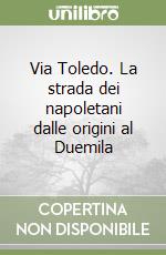 Via Toledo. La strada dei napoletani dalle origini al Duemila libro