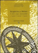 Bergantino e Melara e altri saggi transpadani libro