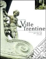 Ville trentine. Dal palazzo di città alle ville del contado libro