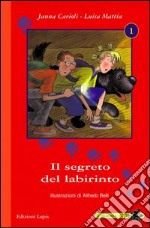 Il segreto del labirinto libro