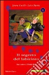 Il segreto del labirinto libro