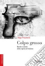 Colpo grosso. Bande e solisti della rapina all'italiana