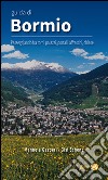 Guida di Bormio. Passeggiando fra torri, palazzi, portali, affreschi, chiese libro