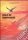 Solo di passaggio libro