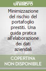 Minimizzazione del rischio del portafoglio prestiti. Una guida pratica all'elaborazione dei dati aziendali libro