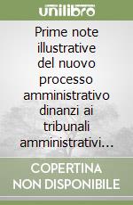 Prime note illustrative del nuovo processo amministrativo dinanzi ai tribunali amministrativi regionali