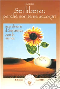 Sei libero. Perché non te ne accorgi? Scardinare il sistema con la mente libro