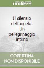 Il silenzio dell'angelo. Un pellegrinaggio intimo