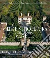 Ville e viticoltura nel territorio Veneto. Tra Lago di Garda e Laguna di Venezia libro