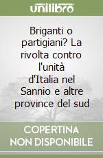 Briganti o partigiani? La rivolta contro l'unità d'Italia nel Sannio e altre province del sud libro