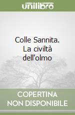 Colle Sannita. La civiltà dell'olmo libro
