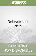 Nel vetro del cielo libro