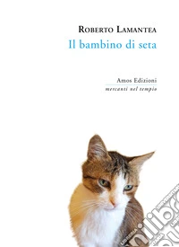 Il bambino di seta