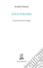 Notte purpurea. La poesia di Giancarlo Pontiggia libro