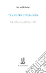 Tra spazio e paesaggio. Studi su Calvino, Biamonti, Del Giudice e Celati