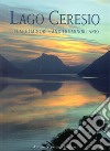 Lago Ceresio e i laghi minori, and the minor lakes. Storia, Arte e Paesaggio fra Italia e Svizzera-History, art and landscape between Italy and Switzerland. Ediz. bilingue libro